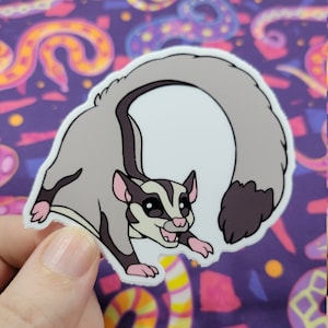 Sugar Glider Sticker