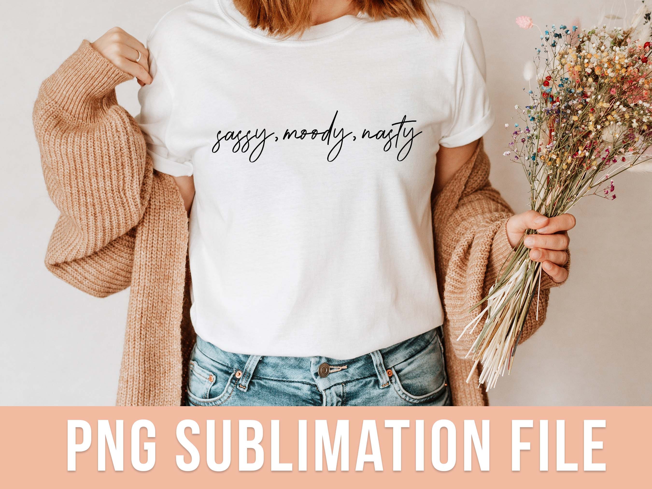 Megan Thee Stallion Shirt Lyrics