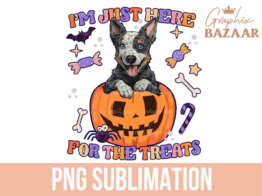 Blue Heeler Dog Clipart Halloween PNG Pumpkin PNG Heeler Inside Pumpkin blue-heeler-dog-clipart-halloween-png-pumpkin-png-heeler-inside-pumpkin