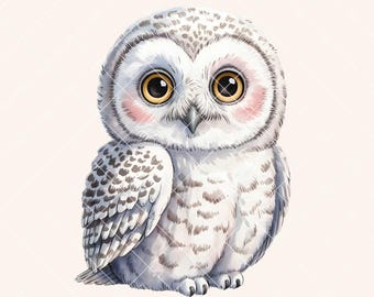 Watercolor Snowy Owl Clipart High Resolution White Owl Watercolor PNG Transparent Background Arctic Animals Illustration Sublimation