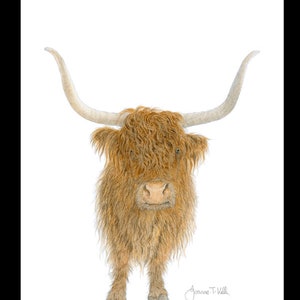 Biglietto d'auguri per la fauna selvatica della mucca delle Highlands – Stampa da un disegno a matita originale di Joanne T Kell