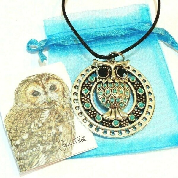 TURQUOISE JEWELLED OWL Long or Short Adjustable Cord Large Pendant Necklace - Artists Gift Card & Gift Bag Included