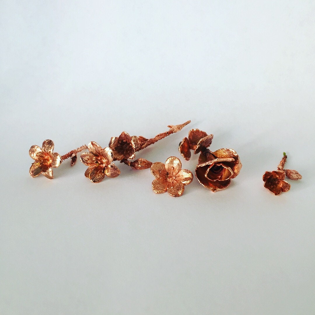 Copper Electroforming Kit for Electroplating Copper Onto Etsy