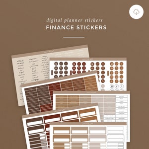 Finance Stickers (Earthy) - GoodNotes Planners Notebook - Budgeting Tracking Calendar Stickers / DESCARGA INSTANTÁNEA