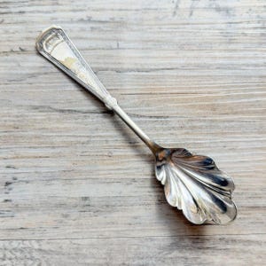 May include: A silver-toned metal spoon featuring a handle with a tapered, geometric end and a bowl shaped like a scalloped shell. The surface of the spoon exhibits a polished, reflective finish with subtle decorative engravings along the handle.