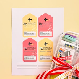 May include: A clear plastic case filled with various items, including pens, a Shout Wipe & Go packet, and other small supplies. A sheet of paper with four prescription-style labels in yellow and pink is visible. A red and white striped ribbon is tied around the case.