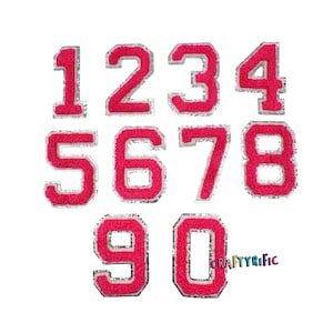 May include: Ten pink felt iron-on patches with white outlines, each featuring a number from 1 to 10. The patches are arranged in two rows, with the numbers 1 through 4 in the top row and 5 through 10 in the bottom row. The word "CRAFTYRIFIC" is printed in rainbow colors below the numbers.