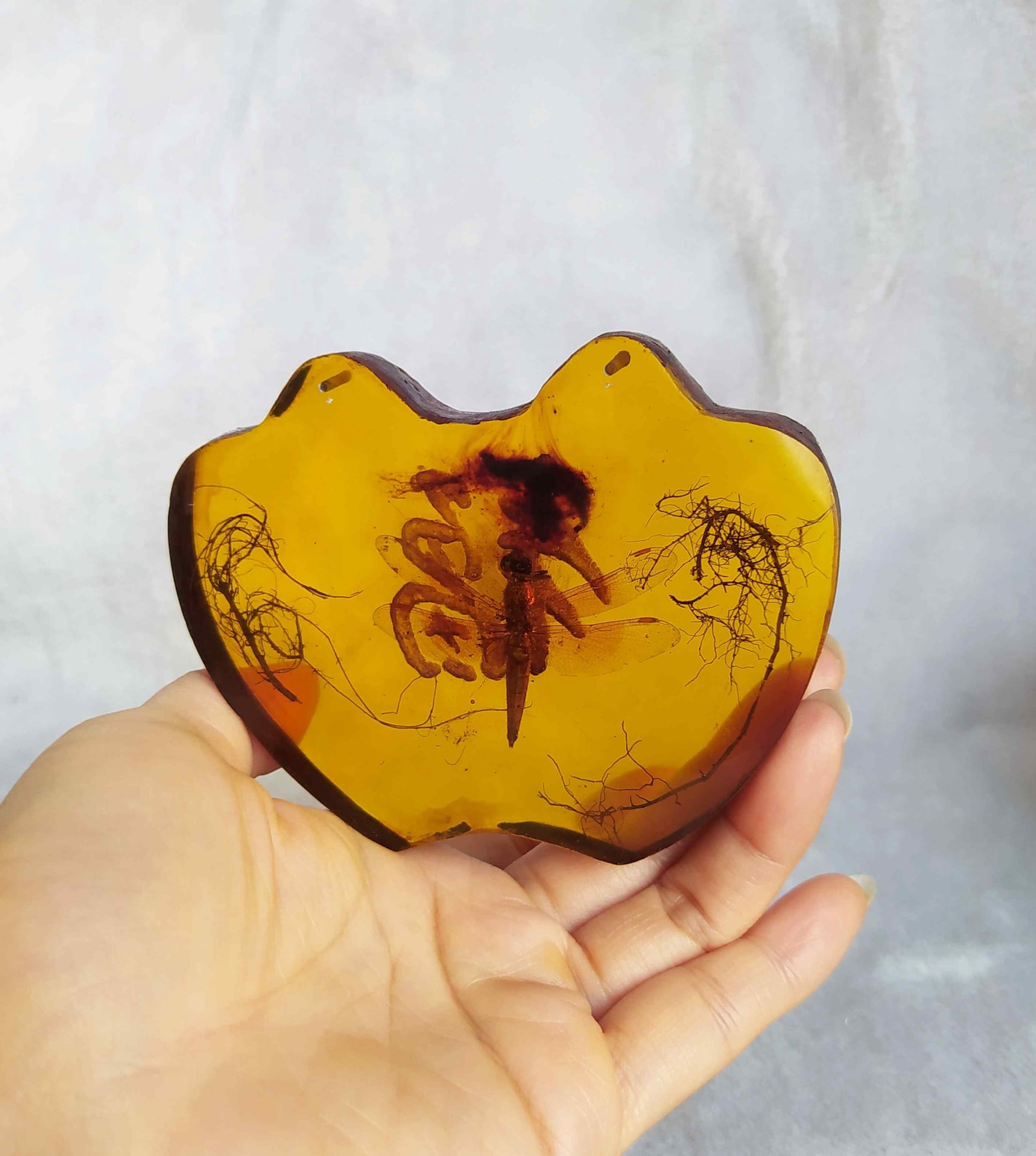 Real Dragonfly Specimen Artificial Amber Statue E2401 - Etsy