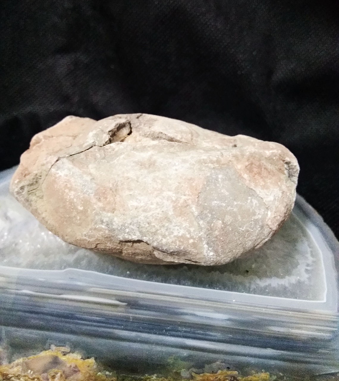 Real Dinosaur Egg Fossil found in China Xixia Basin | Etsy