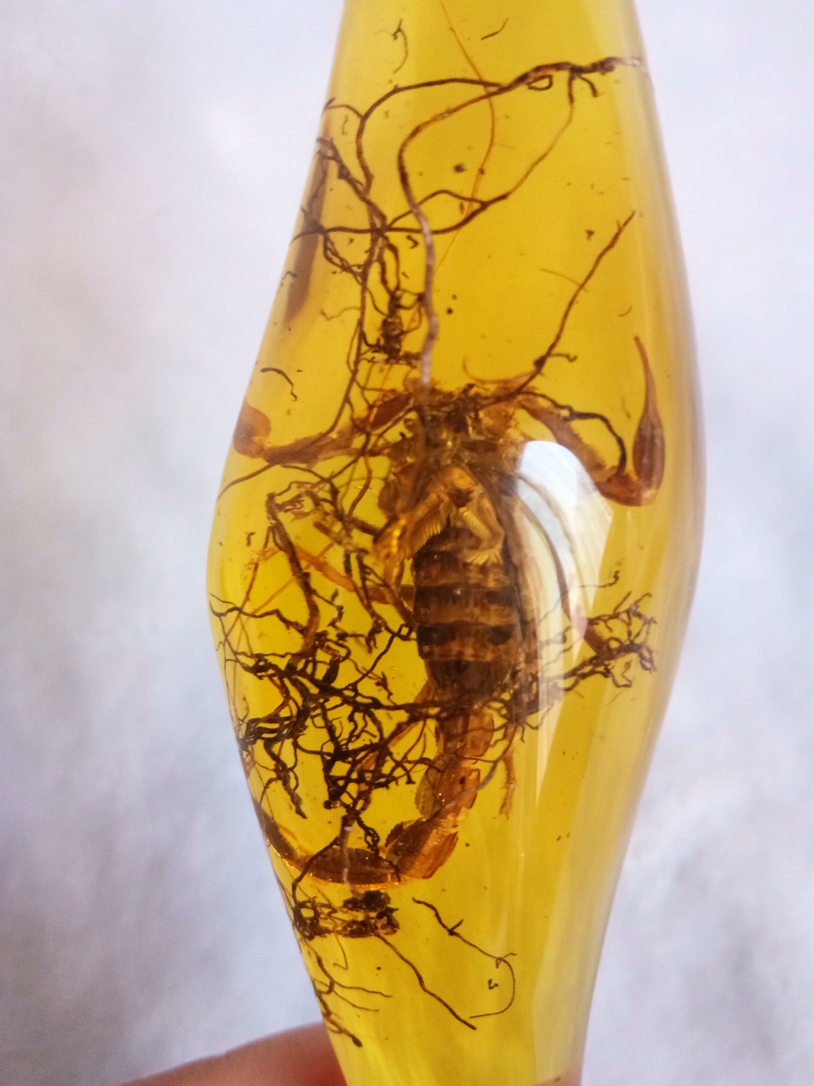 Beautiful Artificial Scorpion Amber Sculpturecan be used to Etsy
