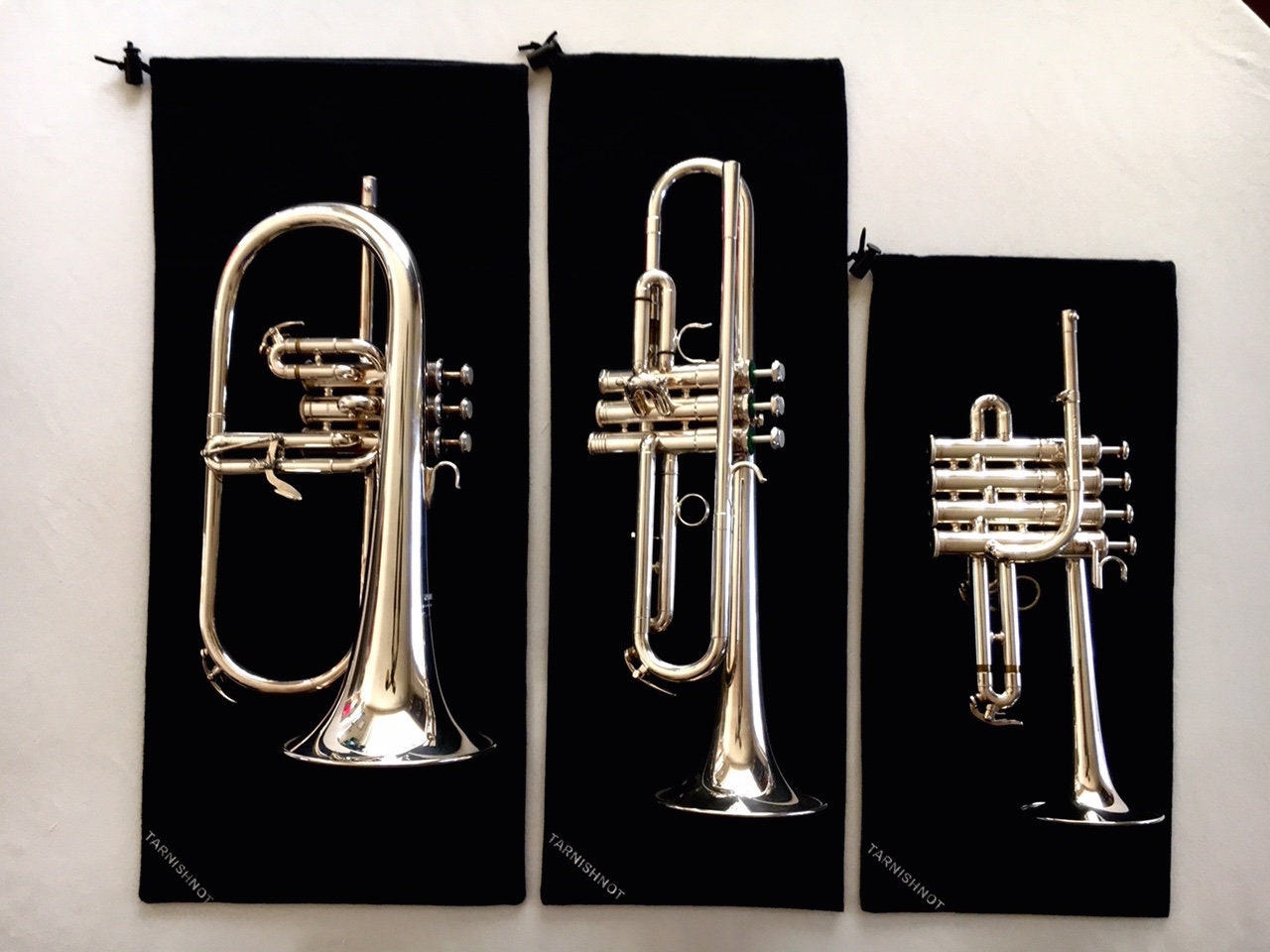 Tarnishnot® Antitarnish Protective Trumpet Bag Etsy