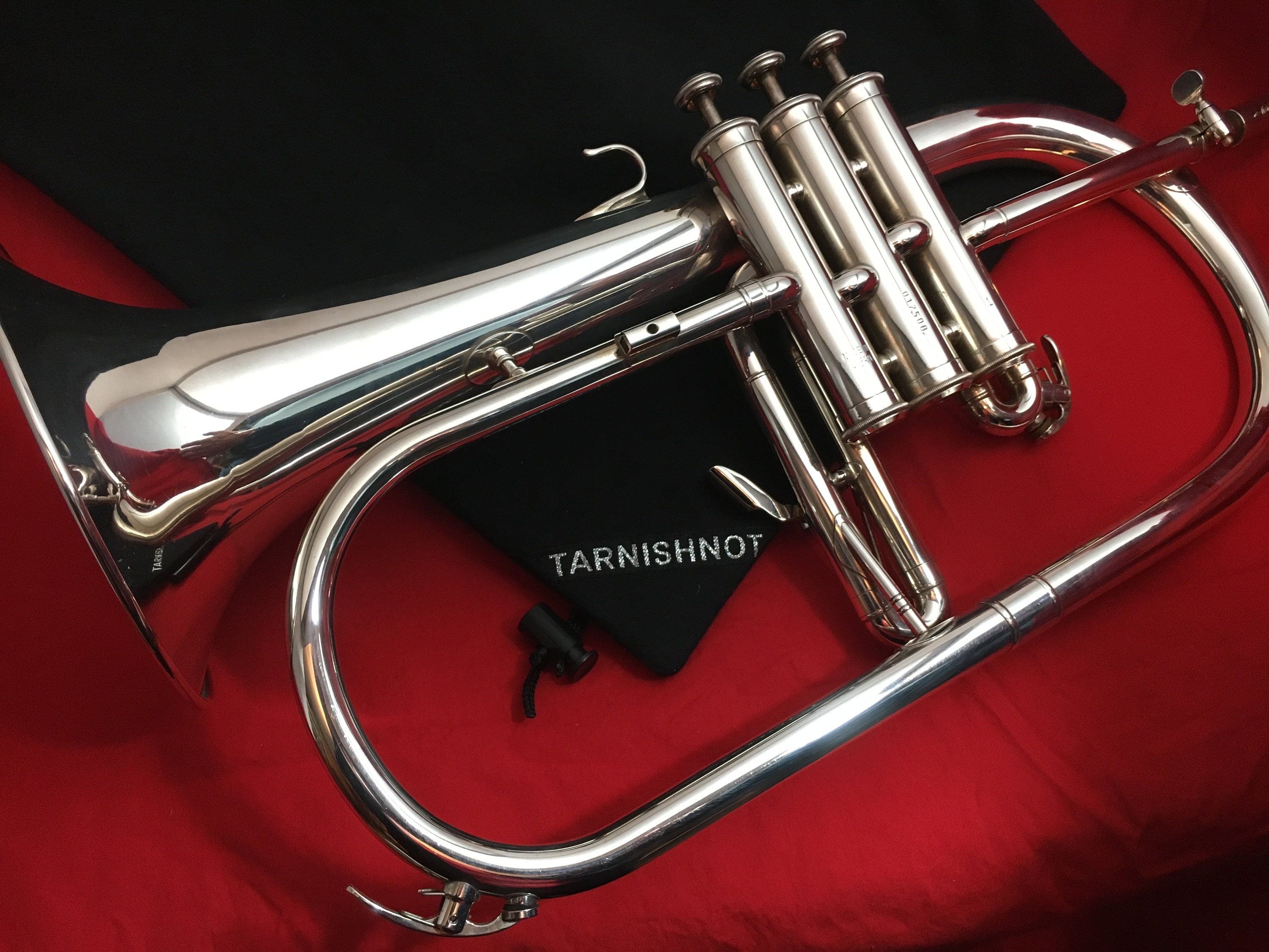 Tarnishnot® Antitarnish Protective Trumpet Bag Etsy