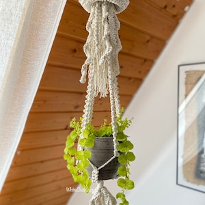 May include: A white macrame plant hanger shaped like a jellyfish with a gray pot and green plant hanging from it.