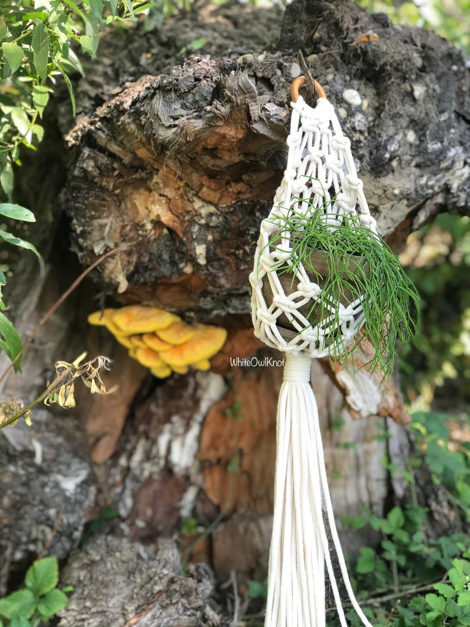 Macrame Pod PDF Pattern Macrame Pod Planter, Macrame Plant Hanger Tutorial, Digital ...