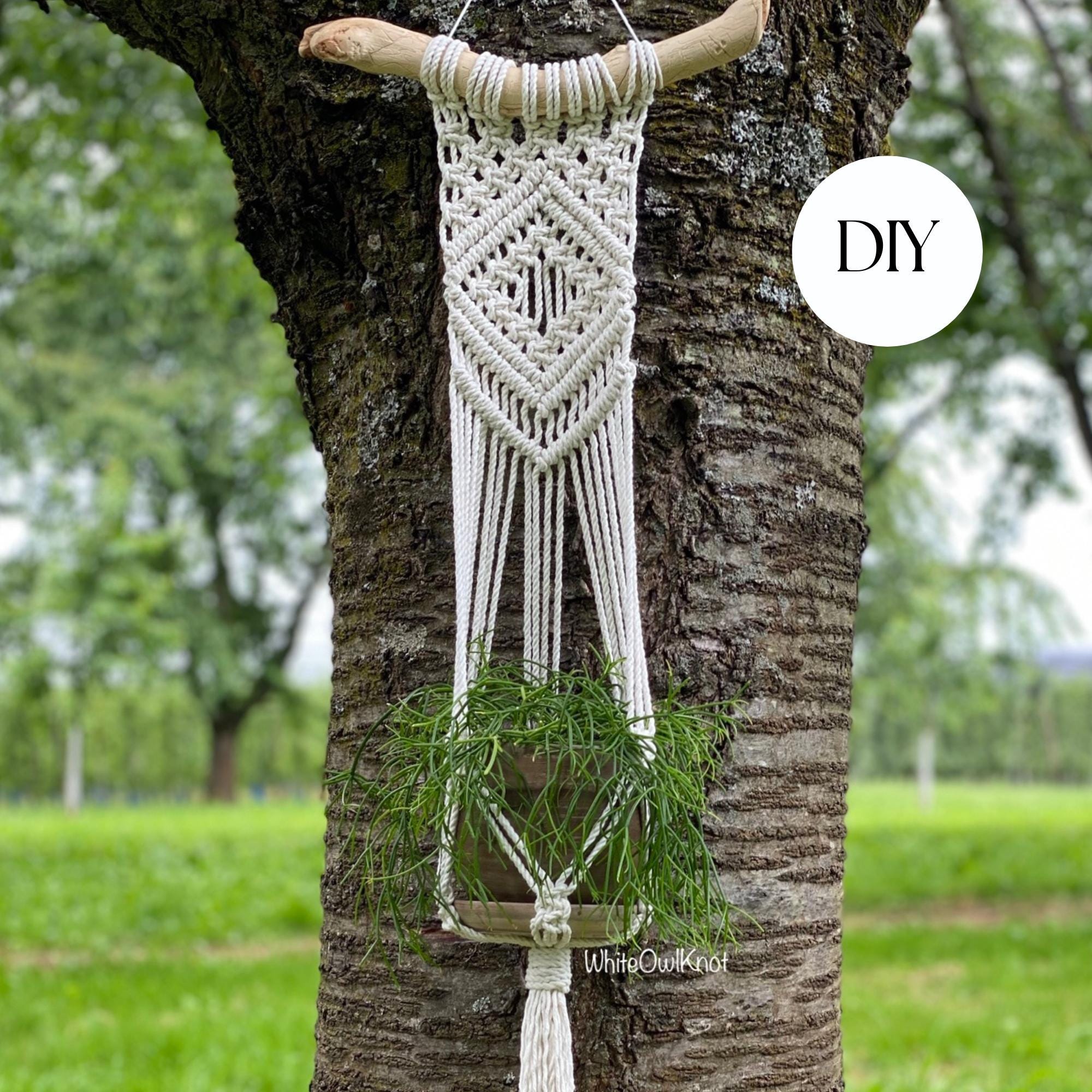 DIY Makramee Blumenampel, Wand Pflanzenampel PDF Muster, Makramee Anleitung Anfänger, geometrisches DIY Makramee, Schritt für Schritt, wie man Blumenampel bepflanzt