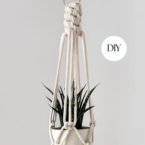 以下が含まれることがあります： クリーム色のマクラメプラントハンガー。白いセラミックポットに、濃い緑色の葉を持つ緑色の植物が入っています。ハンガーは金のリングから吊り下げられています。「DIY」という文字が白い円の中にあります。
