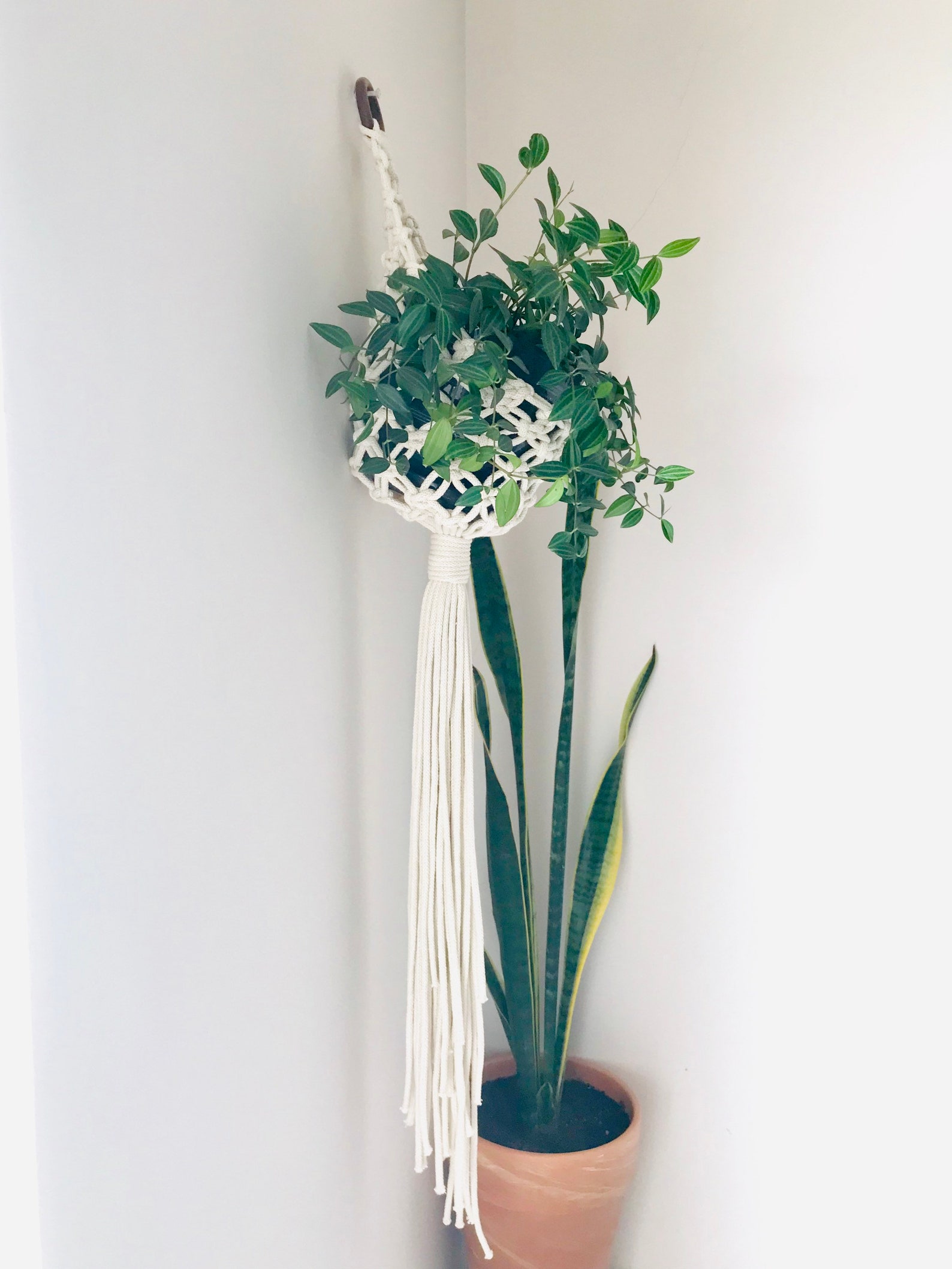 Macrame Pod PDF Pattern Macrame Pod Planter, Macrame Plant Hanger Tutorial, Digital ...