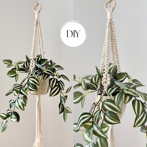 May include: A macrame plant hanger made of off-white cord with a wooden ring at the top, holding a white pot containing a Tradescantia zebrina plant with green and silver striped leaves. The image includes the text DIY in a white circle.