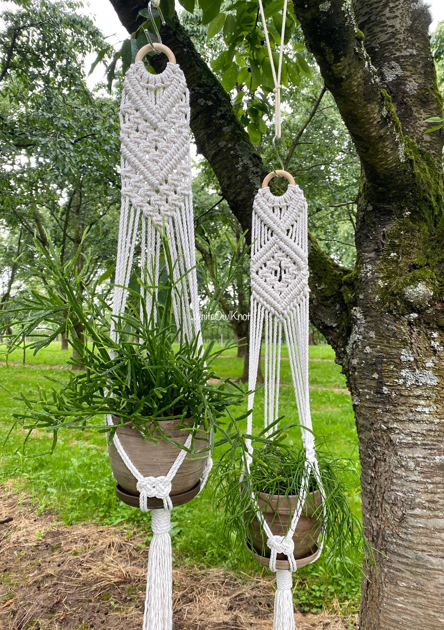 DIY Macrame Plant Hanger Wall Plant Hanger PDF Pattern How Etsy