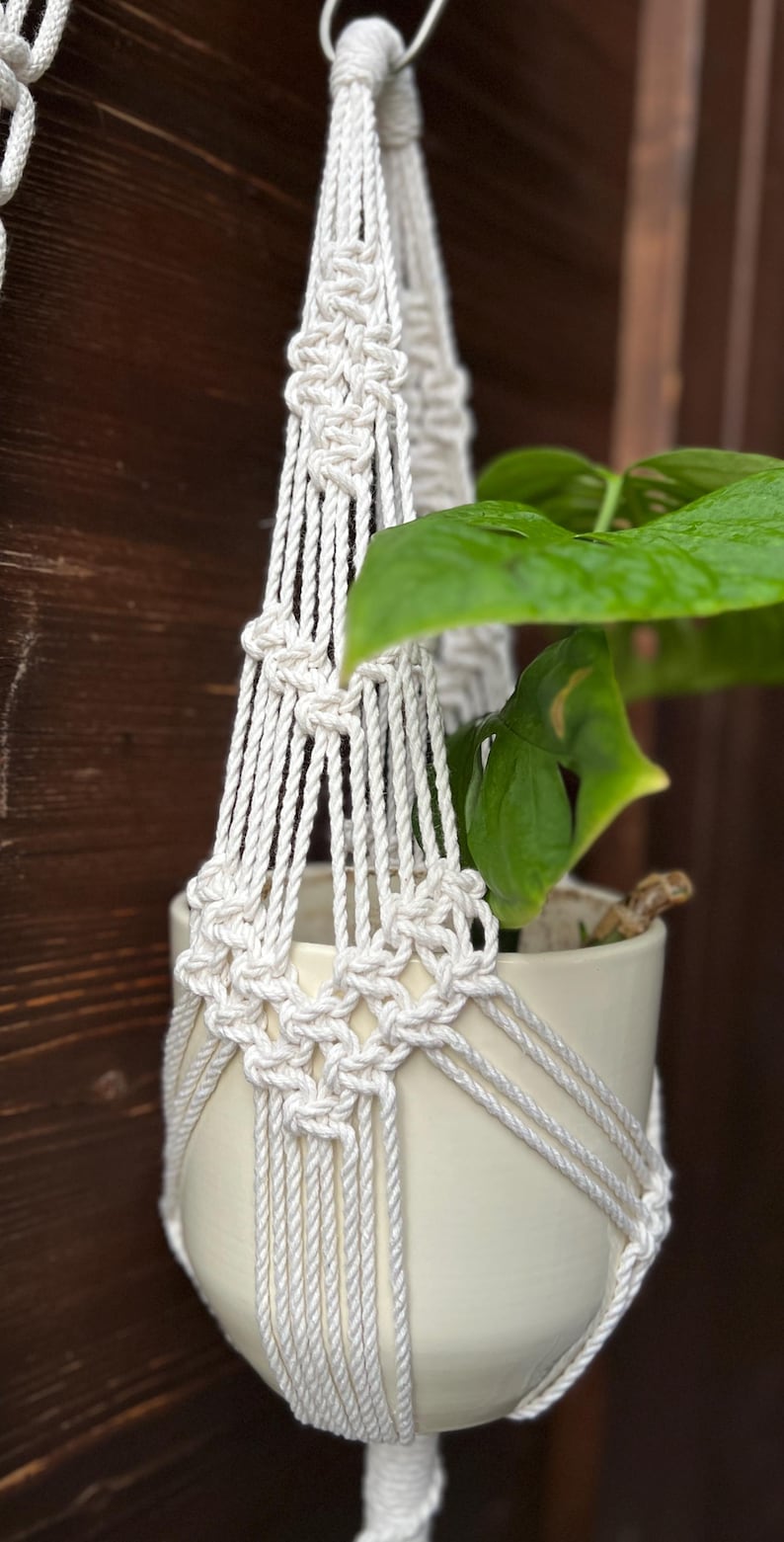 DIY Short Macrame Plant Hanger Pattern for Trailing Plants | Detailed ...