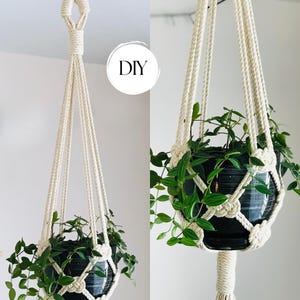 PDF pattern Macrame plant hanger, josephina knot plant hanger DIY, macramé pattern beginner, DIY macrame, step by step, how to plant hanger