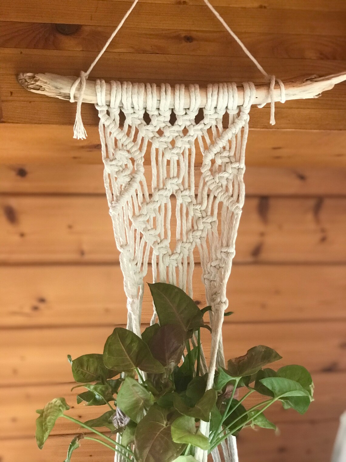 PDF Pattern Macrame Plant Hanger Macrame Tutorial Wall Plant | Etsy