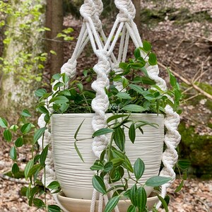 May include: A white macrame plant hanger with a white ceramic pot and green plant. The hanger is hanging from a tree branch in a forest setting.