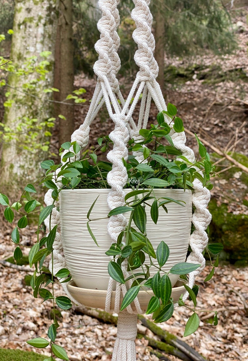 May include: A white macrame plant hanger with a white ceramic pot and green plant. The hanger is hanging from a tree branch in a forest setting.