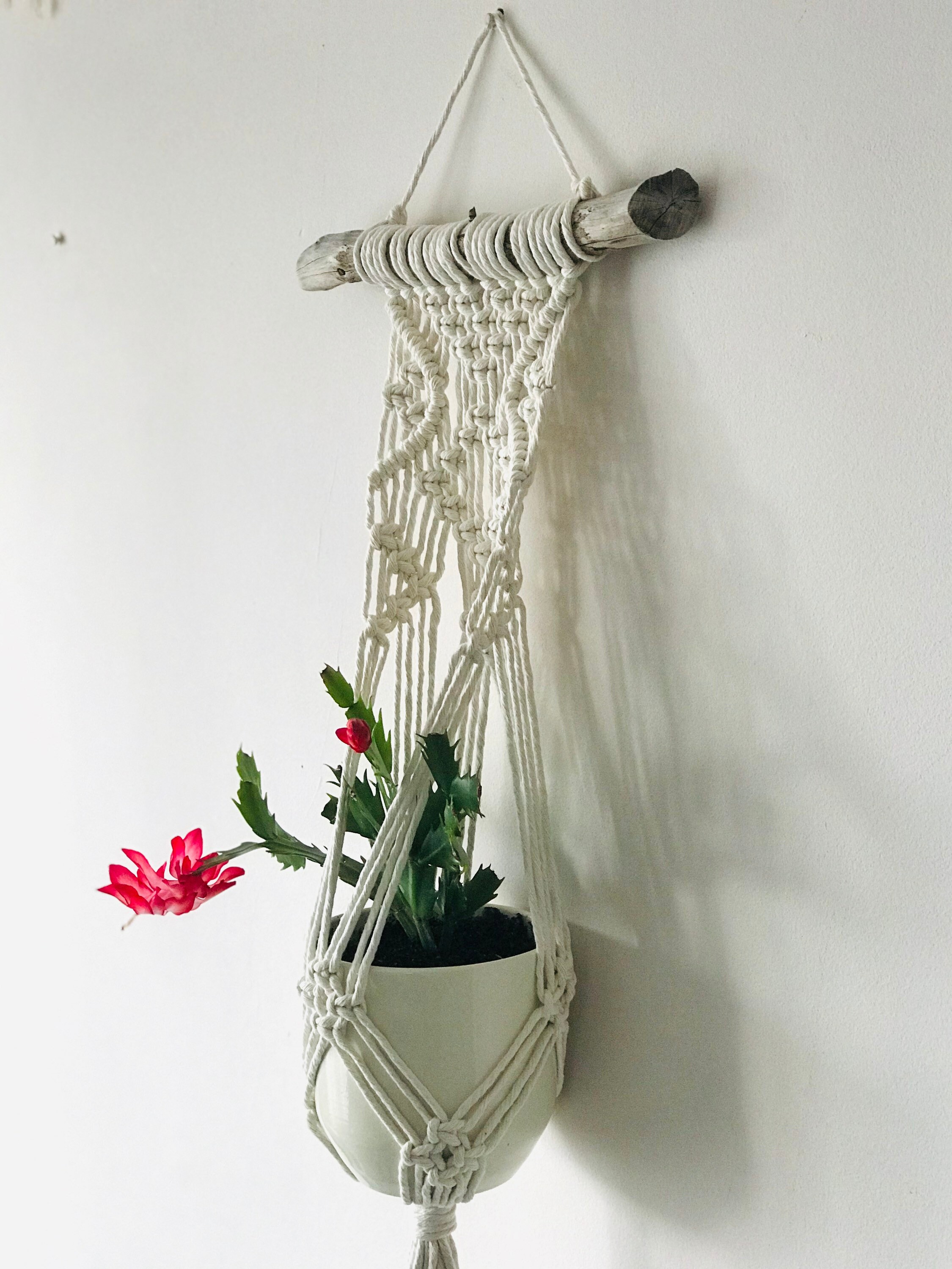 PDF Pattern Macrame Plant Hanger Macrame Tutorial Wall Plant - Etsy