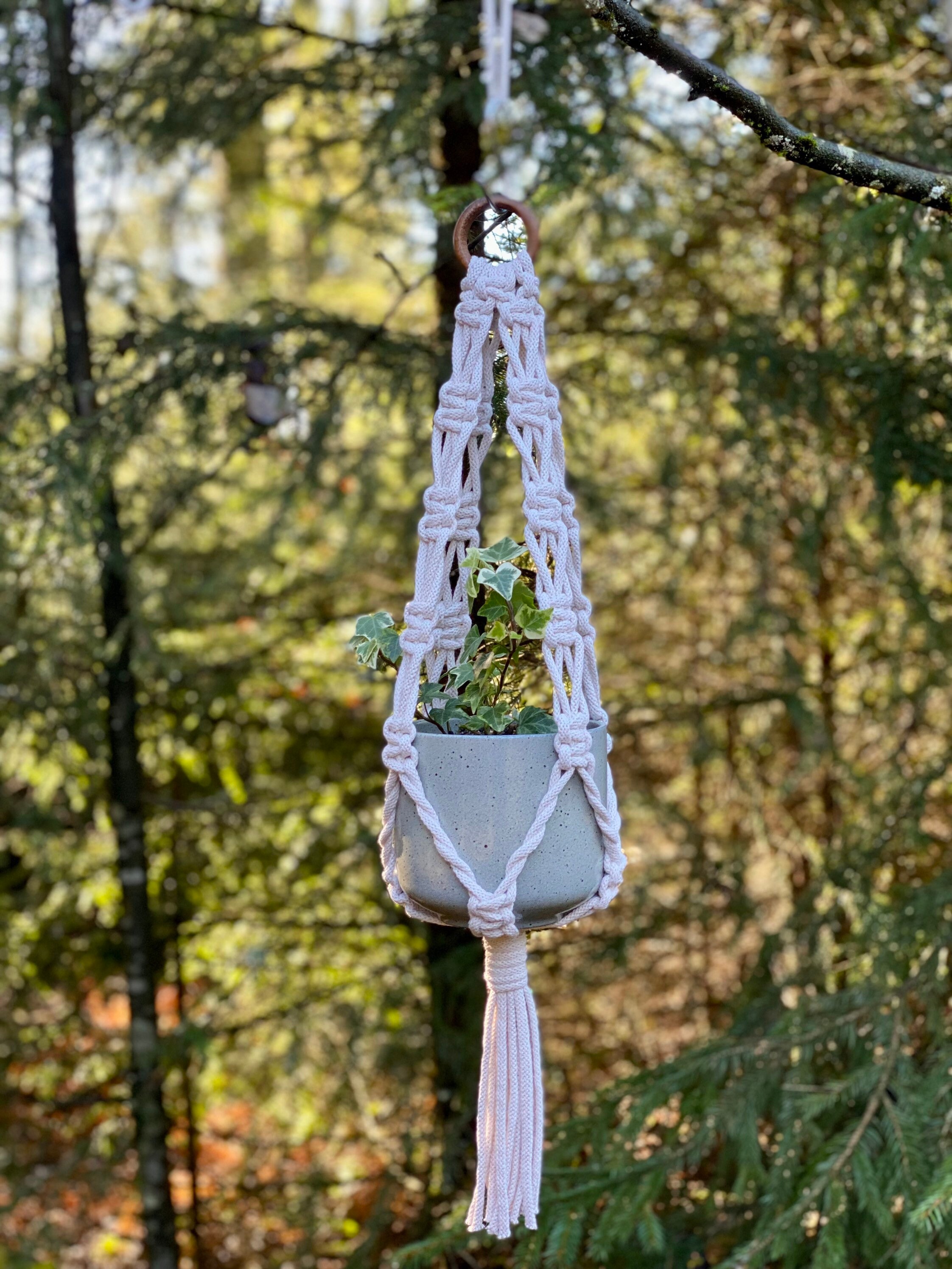 3 Small Macrame Plant Hangers PDF Pattern, DIY Macrame, 3 Hanging ...