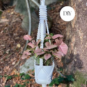 Macrame plant hanger PDF pattern, spiral plant hanger DIY, macramé pattern beginner, DIY macrame, step by step, how to plant hanger