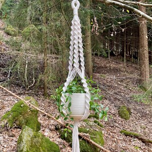 May include: A white macrame plant hanger with a pot and green plant hanging from a tree branch in a forest setting.