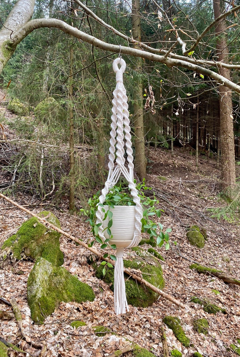 May include: A white macrame plant hanger with a pot and green plant hanging from a tree branch in a forest setting.