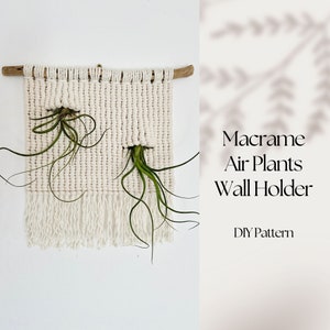 May include: A white macrame wall hanging with two air plants. The hanging has a wooden dowel at the top and a fringe at the bottom. The text "Macrame Air Plants Wall Holder DIY Pattern" is written below the hanging.