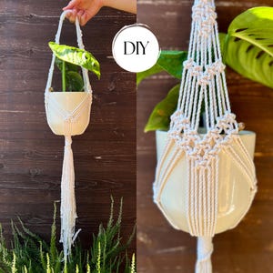 Schema fai da te per un piccolo supporto per piante rampicanti in macramè / Tutorial dettagliato di macramè / Download immediato / Idea regalo creativa per gli amanti delle piante