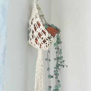 May include: A white macrame plant hanger with a wooden ring at the top, holding a terracotta pot with a trailing green plant.