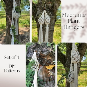 May include: Set of four DIY macrame plant hanger patterns. The image shows four macrame plant hangers hanging from trees in a natural outdoor setting. The hangers are made with white cord and have a simple, elegant design.