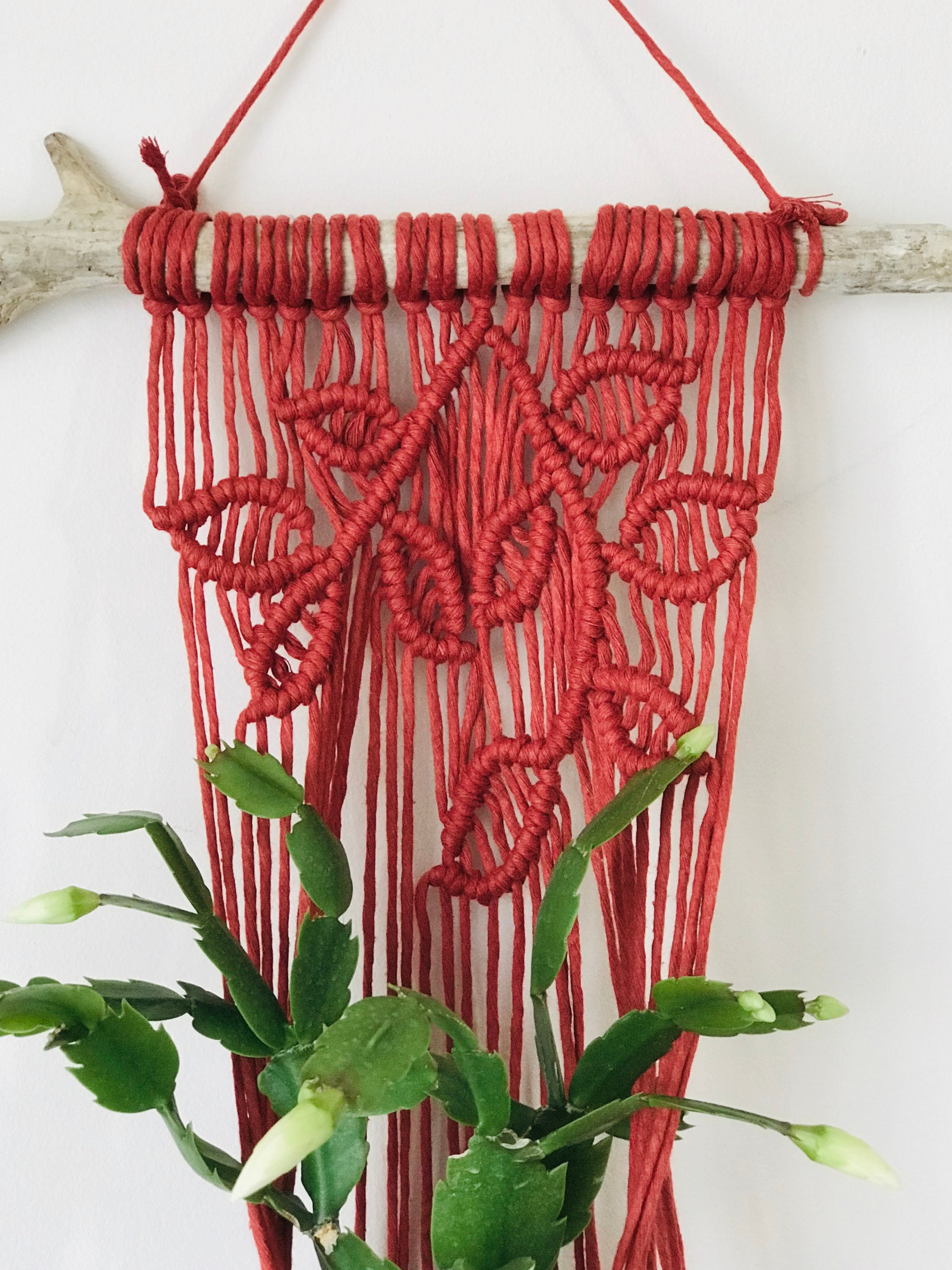 DIY Macrame Plant Hanger Wall Plant Hanger PDF Pattern Etsy