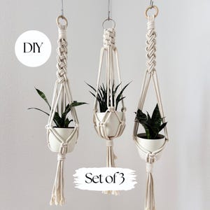 Pode incluir: Três suportes de plantas em macramé com vasos de cerâmica brancos, cada um com uma planta verde. Os suportes estão suspensos no teto. O texto "DIY" está em um círculo branco, e "Set of 3" está abaixo.