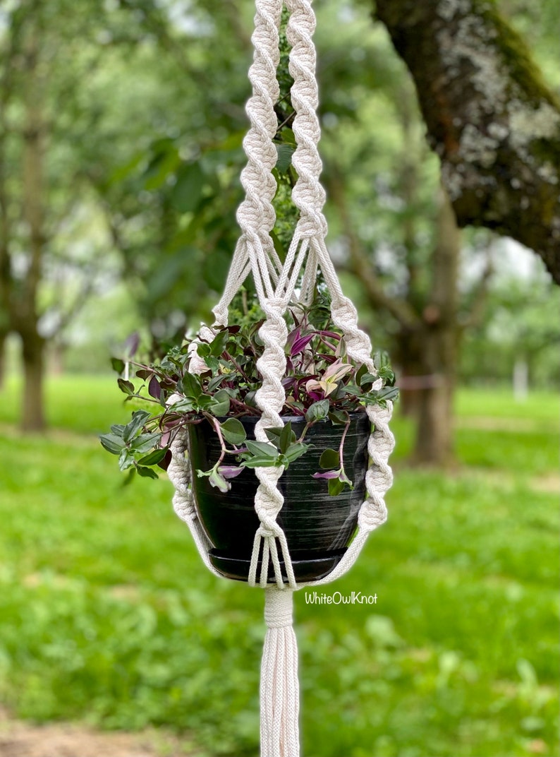 May include: A white macrame plant hanger with a black pot and green plant with purple flowers hanging from a tree branch. The hanger has a tassel at the bottom and the text "WhiteOwlKnot" is visible at the bottom of the image.