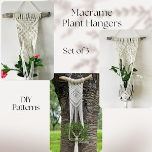 SET of 3 pdf patterns Macrame plant hangers on the wall, plant hanger DIY, macramé pattern beginner, DIY macrame, how to plant hanger