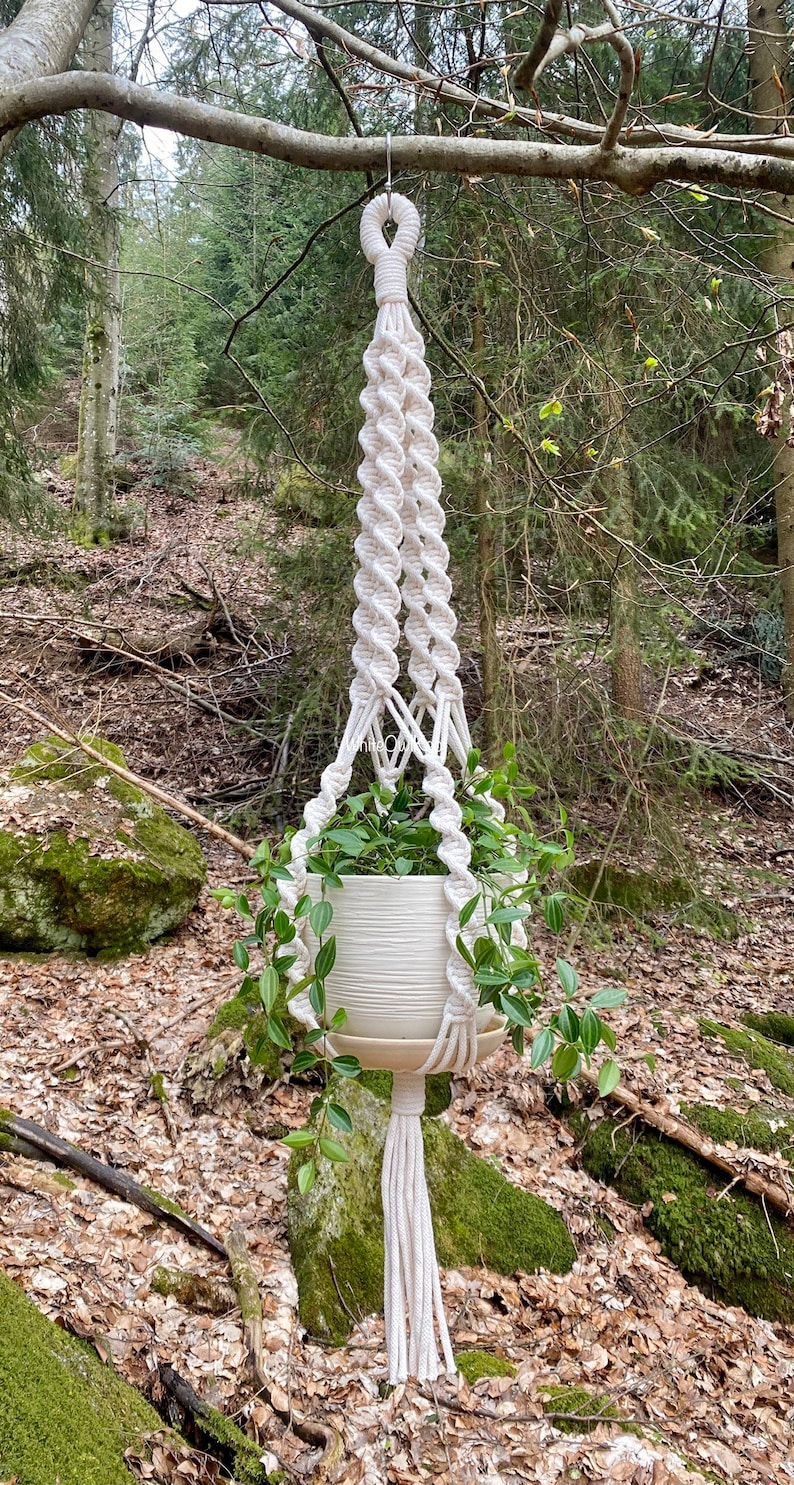 May include: A white macrame plant hanger with a white ceramic pot and green plant hanging from a tree branch in a forest setting.