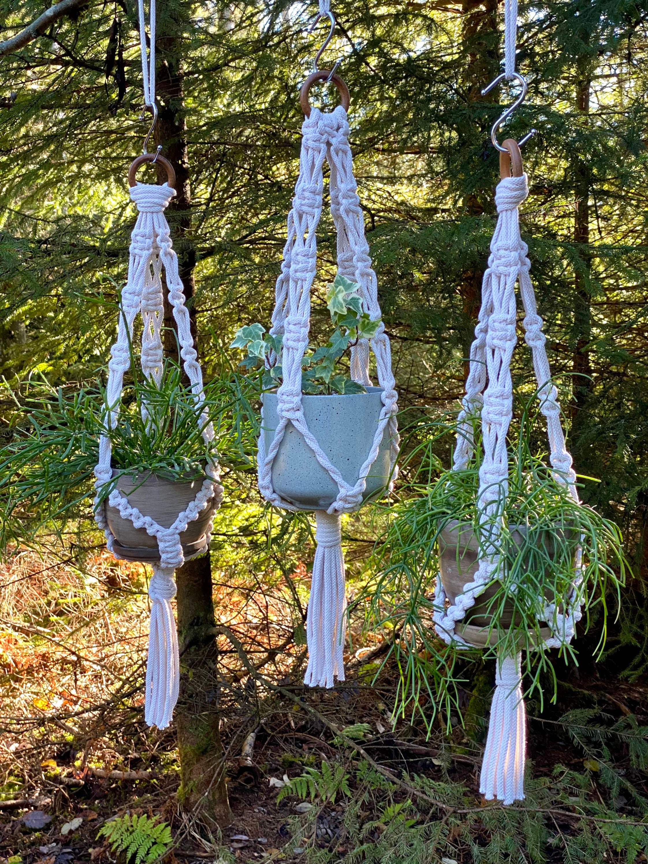 3 Small Macrame Plant Hangers PDF Pattern, DIY Macrame, 3 Hanging ...