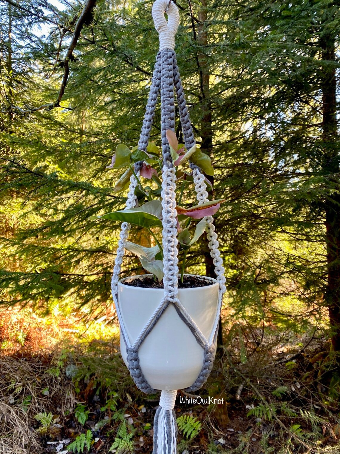 PDF Pattern Macrame Plant Hanger, Hanging Planter Multicolour, DIY Home ...