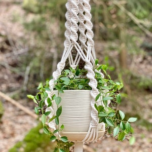 May include: A white macrame plant hanger with a white ceramic pot and a green plant hanging from it. The plant hanger is made with a thick rope and has a tassel at the bottom. The plant hanger is hanging from a tree branch in a forest setting.