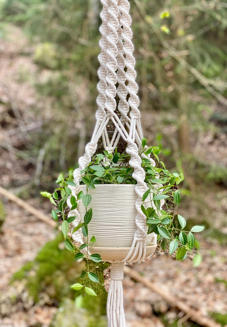 May include: A white macrame plant hanger with a white ceramic pot and a green plant hanging from it. The plant hanger is made with a thick rope and has a tassel at the bottom. The plant hanger is hanging from a tree branch in a forest setting.