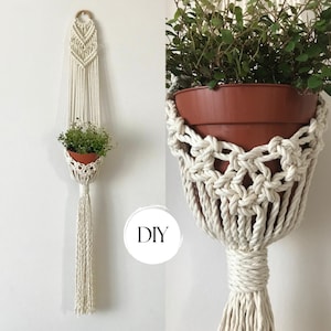 May include: A cream-colored macrame plant hanger featuring intricate knotted patterns, a wooden ring at the top, and a long fringe at the bottom. It holds a brown plastic pot containing a small green plant. The text DIY is visible in the center.