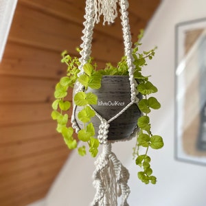 May include: A white macrame plant hanger with a gray pot and green plant hanging from it. The hanger has a tassel design at the bottom. The text "WhiteOwlKnot" is visible on the pot.