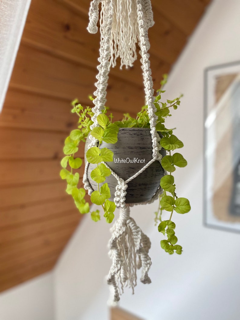 May include: A white macrame plant hanger with a gray pot and green plant hanging from it. The hanger has a tassel design at the bottom. The text "WhiteOwlKnot" is visible on the pot.