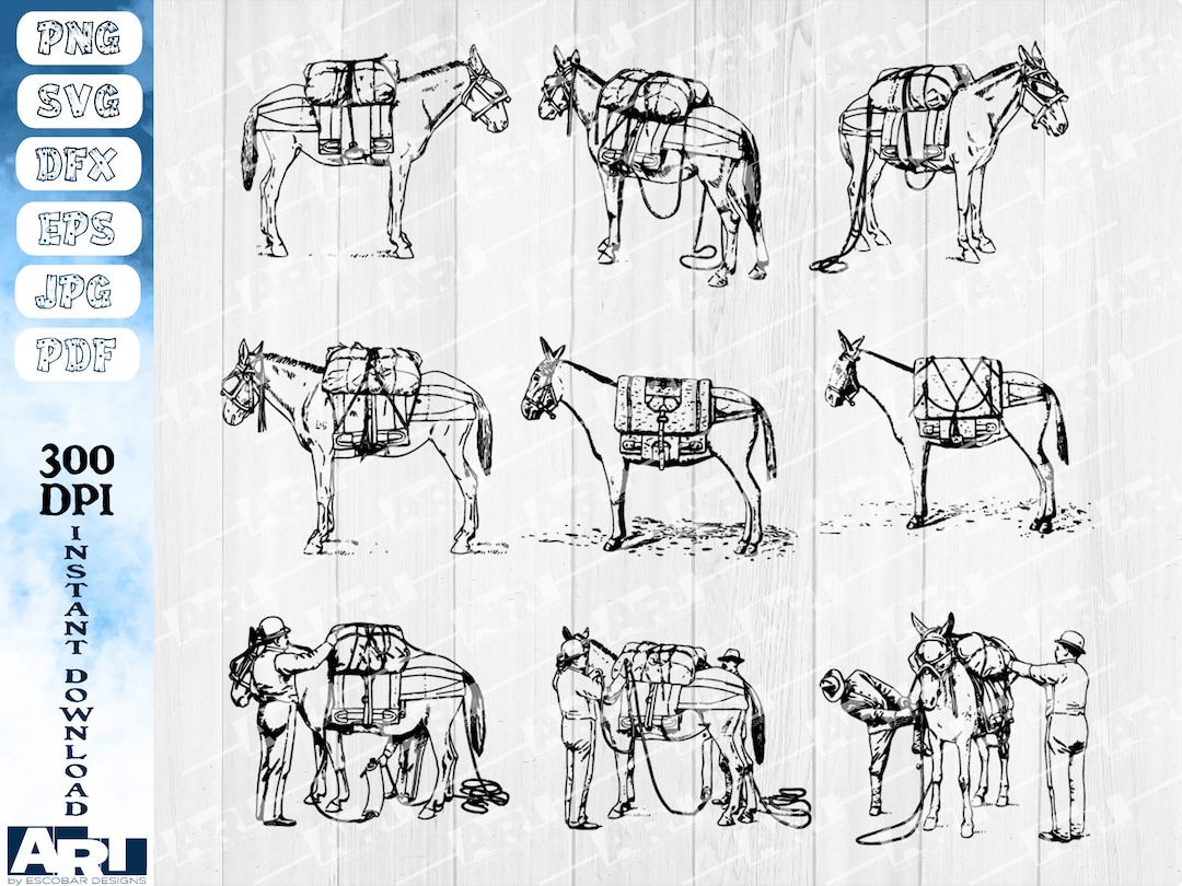 Vintage Pack Horse Transportation Illustrations Clip Art - Etsy